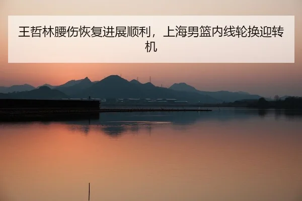 wang-zhe-lin-yao-shang-hui-fu-jin-zhan-shun-li-shang-hai-nan-lan-nei-xian-lun-huan-ying-zhuan-ji-3-735.jpg