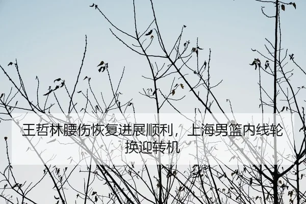 王哲林腰伤恢复进展顺利，上海男篮内线轮换迎转机
